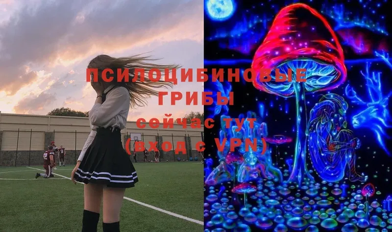 Псилоцибиновые грибы MAGIC MUSHROOMS  Тольятти 